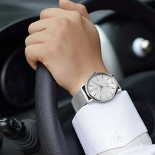 Load image into Gallery viewer, Alpha Silver