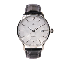 Load image into Gallery viewer, Alpha Silver